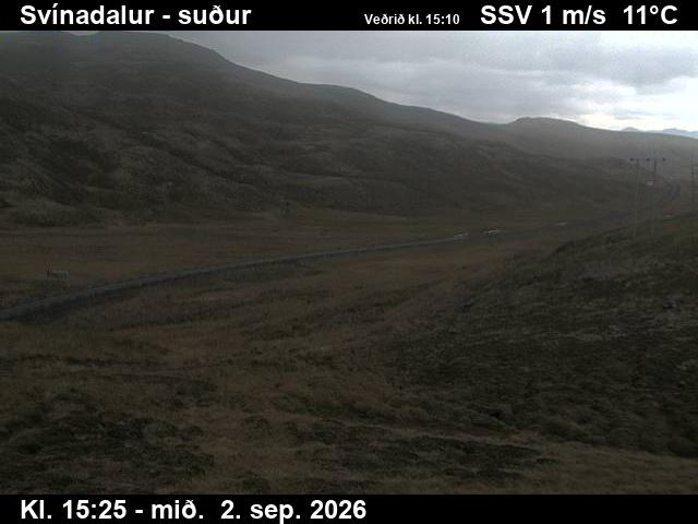 svinadalur_3-1788369932.jpg