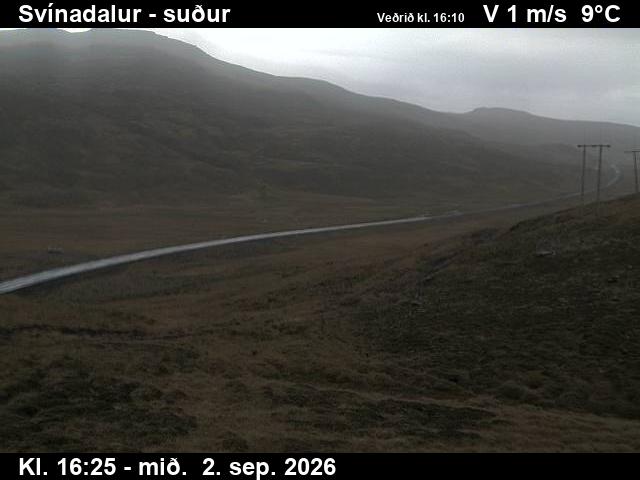 svinadalur_3-1788373544.jpg