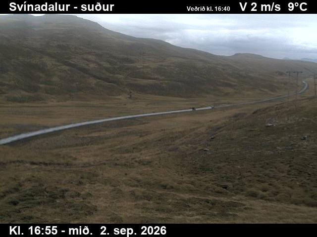 svinadalur_3-1788375656.jpg