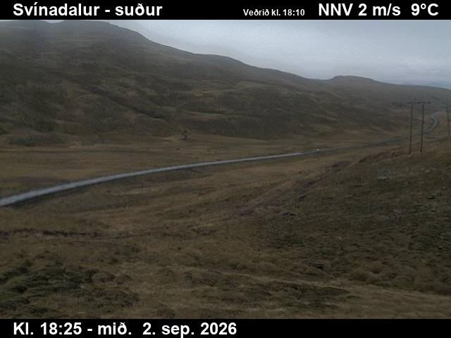 svinadalur_3-1788380745.jpg