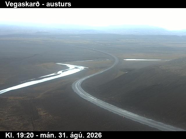 vegaskard_1-1788212264.jpg