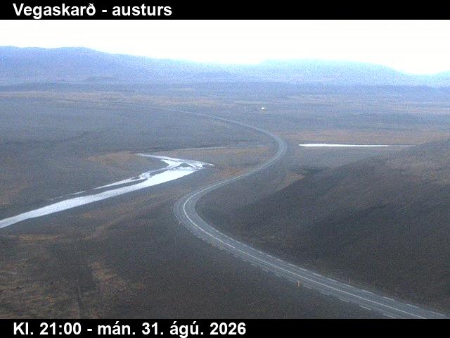 vegaskard_1-1788217249.jpg