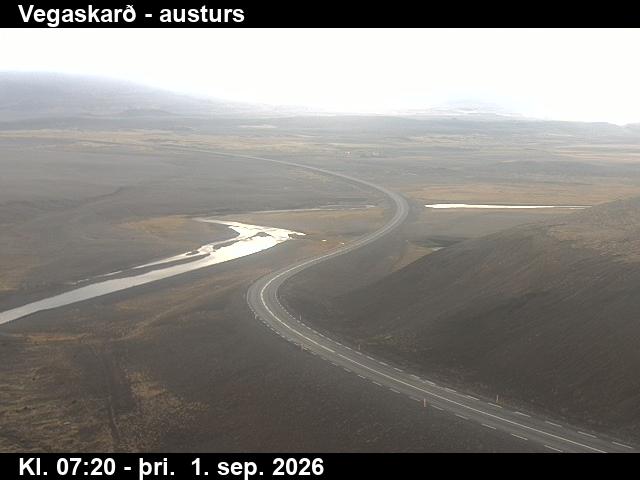 vegaskard_1-1788254783.jpg