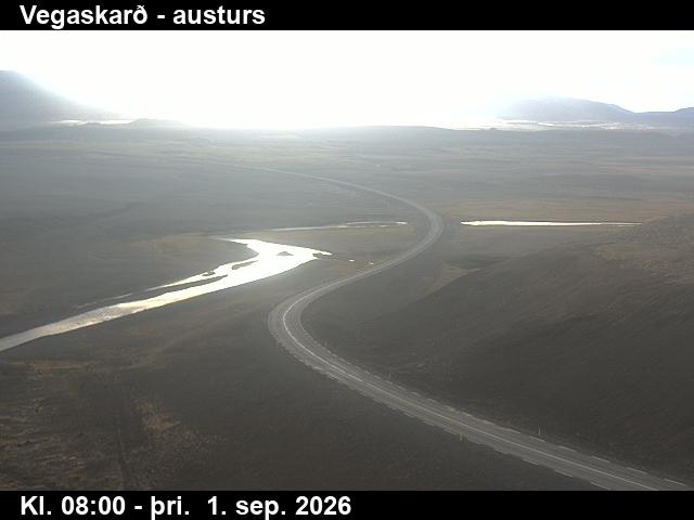 vegaskard_1-1788256875.jpg
