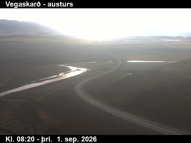 vegaskard_1-1788258530.jpg