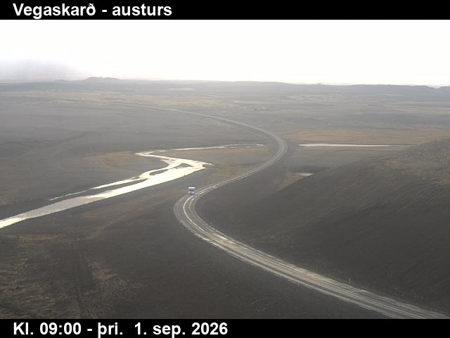vegaskard_1-1788260762.jpg