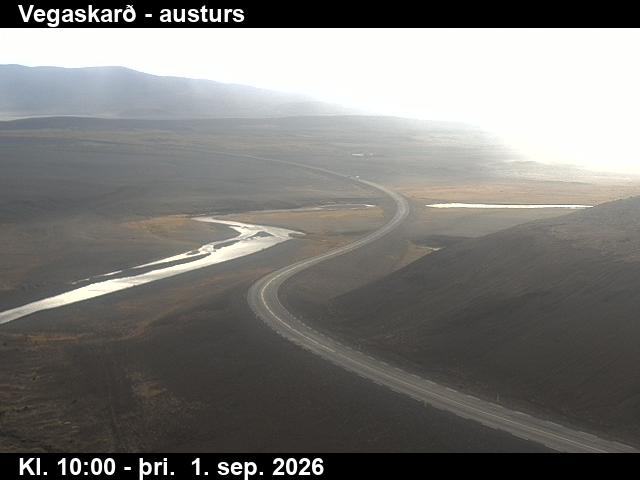 vegaskard_1-1788264048.jpg