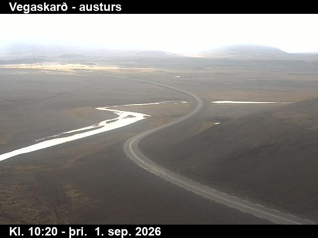 vegaskard_1-1788265555.jpg