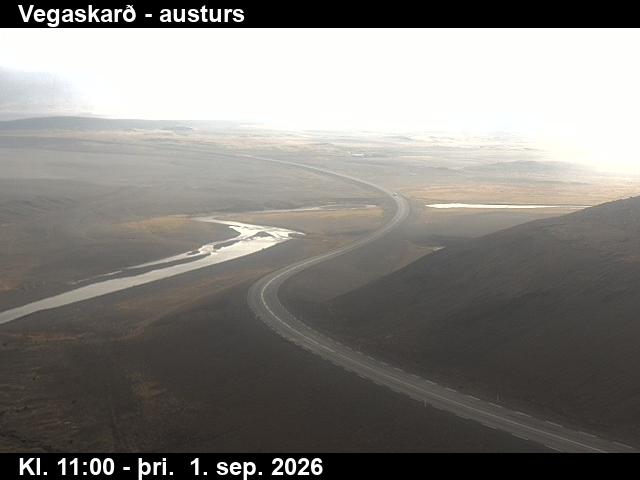 vegaskard_1-1788267774.jpg