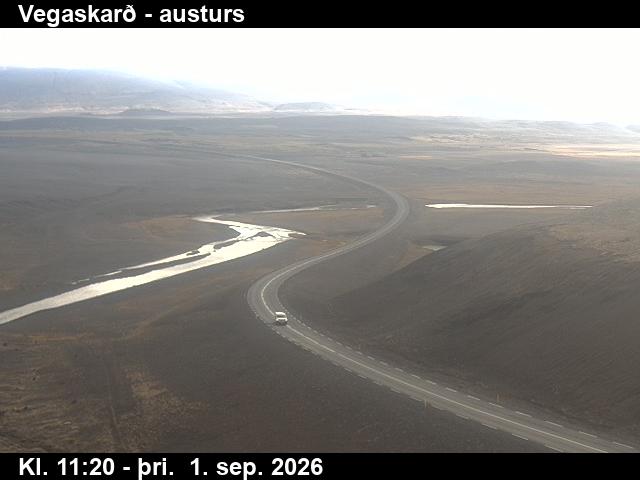vegaskard_1-1788269123.jpg