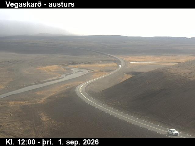 vegaskard_1-1788271235.jpg