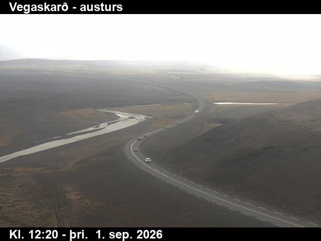vegaskard_1-1788272746.jpg