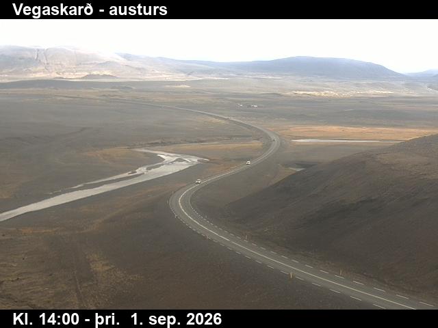 vegaskard_1-1788278733.jpg
