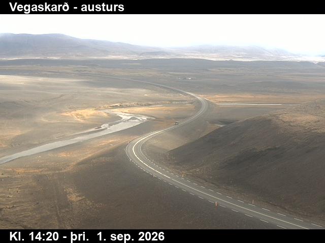 vegaskard_1-1788279948.jpg