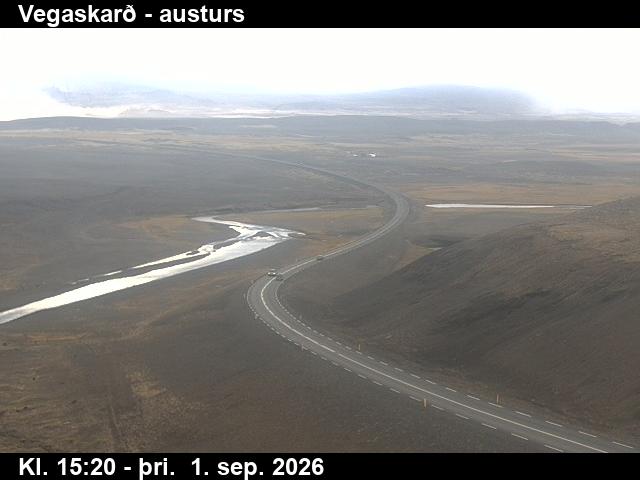 vegaskard_1-1788283544.jpg