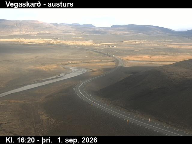 vegaskard_1-1788287130.jpg