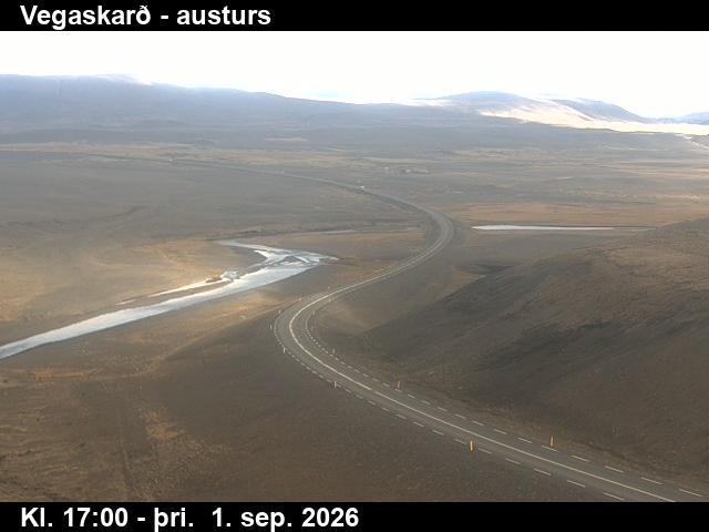 vegaskard_1-1788289283.jpg