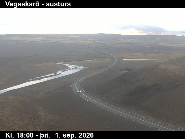 vegaskard_1-1788293184.jpg