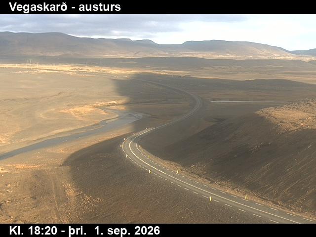 vegaskard_1-1788294327.jpg