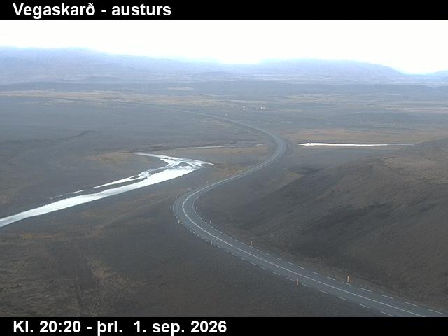 vegaskard_1-1788301549.jpg