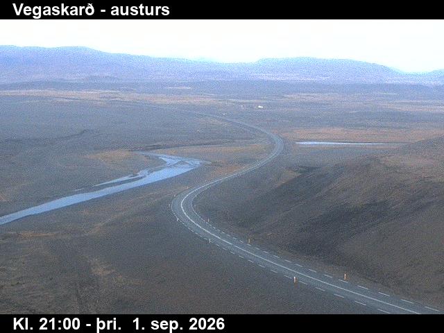 vegaskard_1-1788303751.jpg