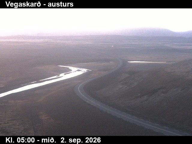 vegaskard_1-1788332796.jpg