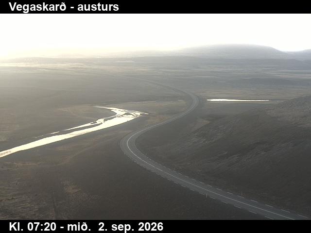 vegaskard_1-1788341129.jpg