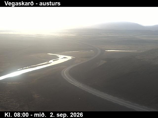 vegaskard_1-1788343565.jpg