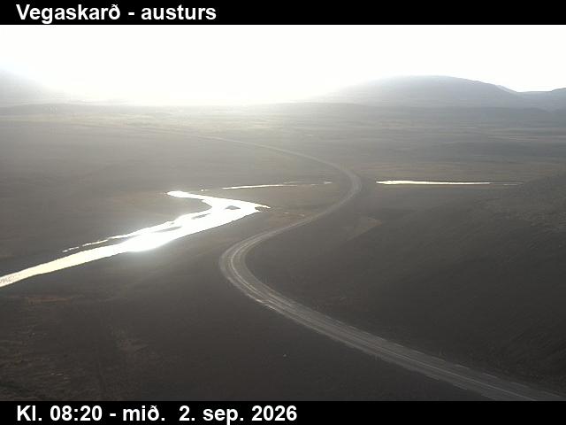vegaskard_1-1788344763.jpg