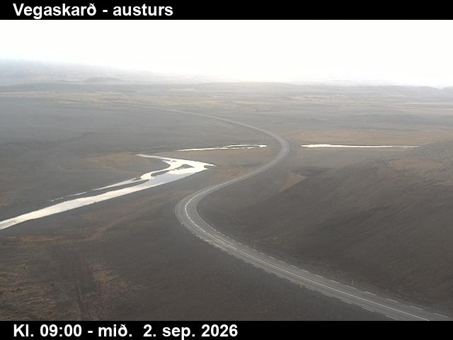 vegaskard_1-1788346902.jpg