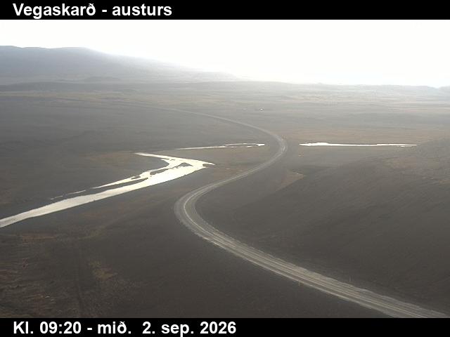 vegaskard_1-1788348330.jpg
