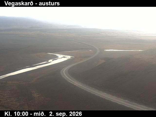 vegaskard_1-1788350484.jpg