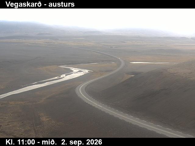vegaskard_1-1788354180.jpg