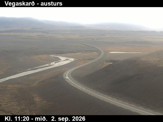 vegaskard_1-1788355554.jpg