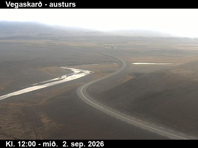 vegaskard_1-1788357662.jpg