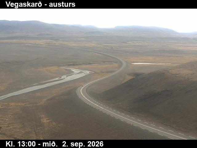 vegaskard_1-1788361289.jpg