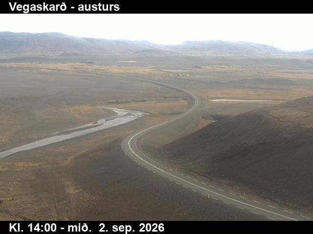 vegaskard_1-1788364894.jpg