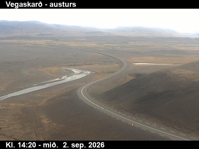 vegaskard_1-1788366339.jpg
