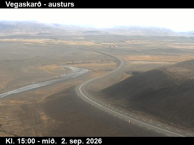 vegaskard_1-1788368462.jpg