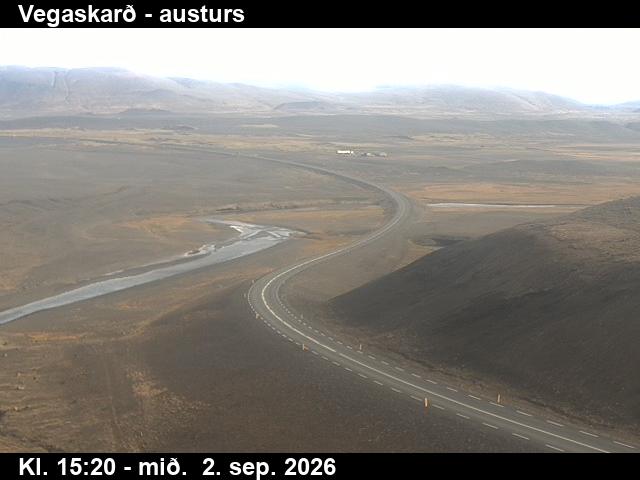 vegaskard_1-1788369932.jpg