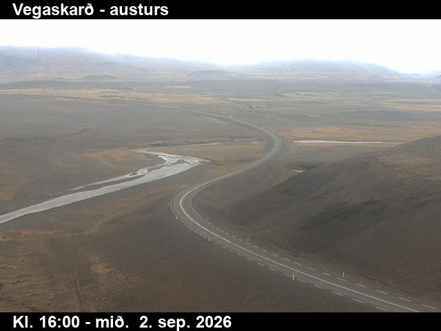 vegaskard_1-1788372127.jpg