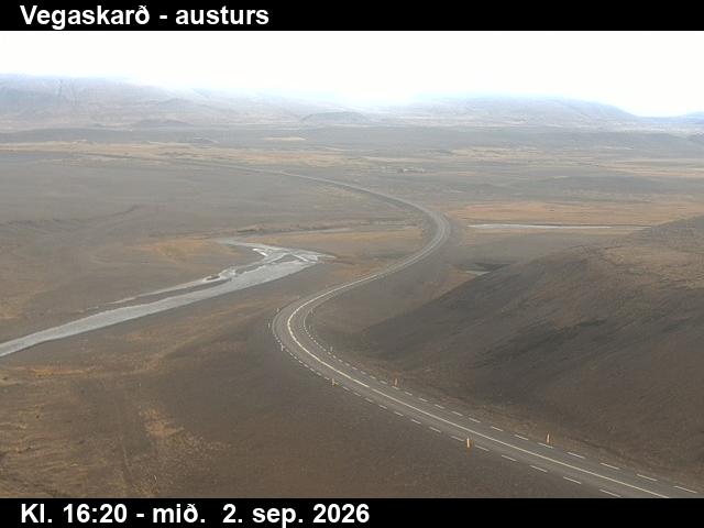 vegaskard_1-1788373544.jpg