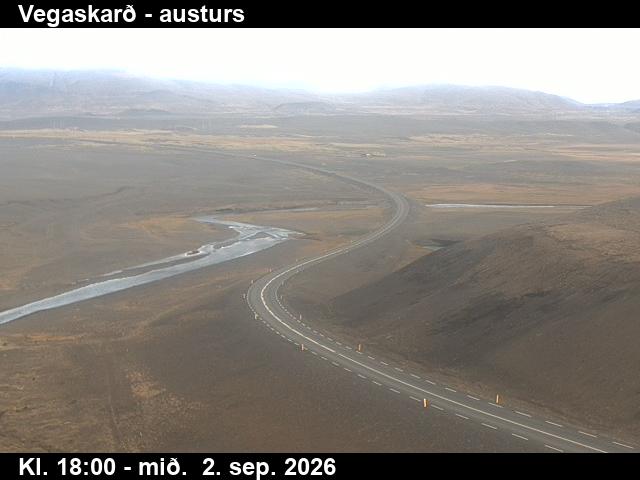 vegaskard_1-1788379542.jpg