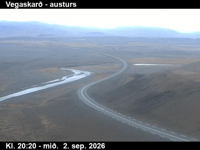 vegaskard_1-1788387956.jpg