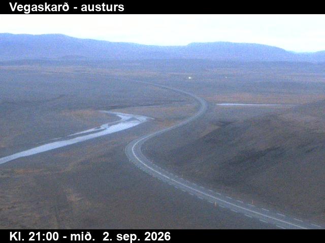 vegaskard_1-1788390050.jpg