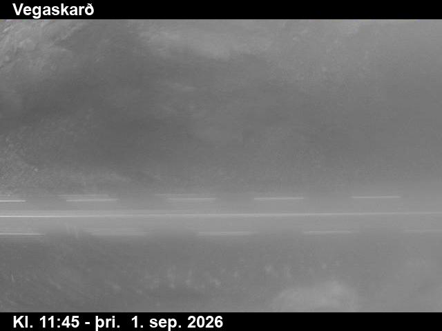 vegaskard_2-1788271226.jpg