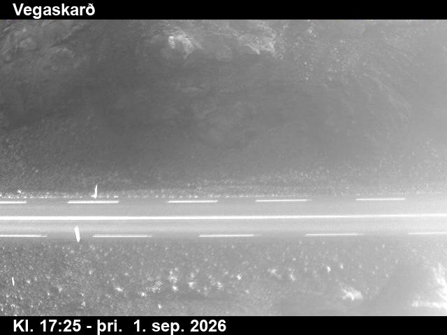 vegaskard_2-1788290755.jpg
