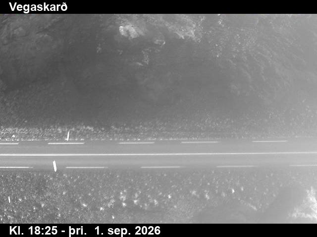 vegaskard_2-1788294327.jpg