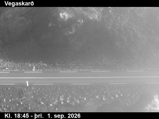 vegaskard_2-1788296533.jpg