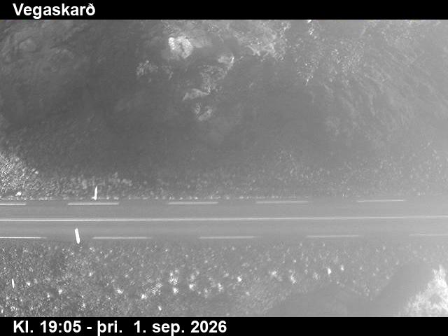 vegaskard_2-1788296753.jpg
